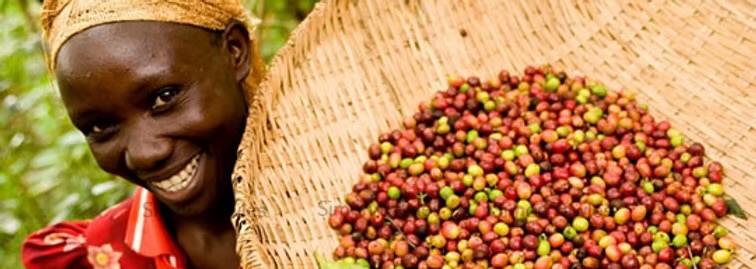 vrouw met schaal koffiebonen